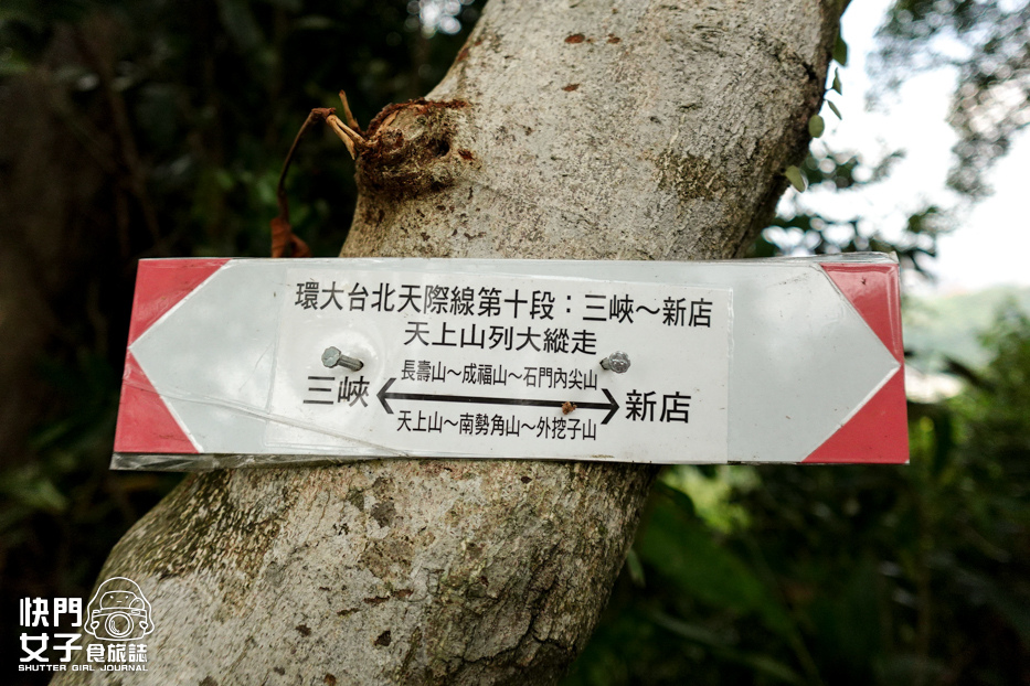 46新北小百岳南勢角山步道烘爐地南山福德宮發財金錢母財神爺.jpg 46新北小百岳南勢角山步道烘爐地南山福德宮發財金錢母財神爺.jpg