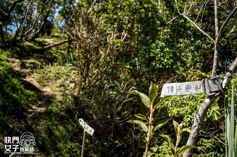 26平溪十分小百岳淡蘭古道五分山步道氣象台芒草季老街美食.jpg 26平溪十分小百岳淡蘭古道五分山步道氣象台芒草季老街美食.jpg
