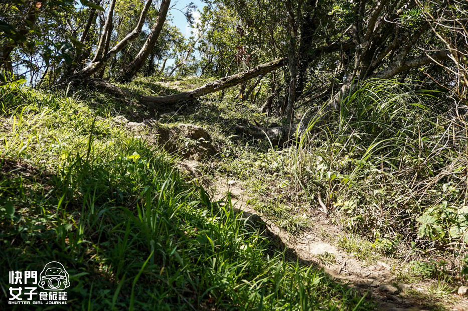 27平溪十分小百岳淡蘭古道五分山步道氣象台芒草季老街美食.jpg 27平溪十分小百岳淡蘭古道五分山步道氣象台芒草季老街美食.jpg