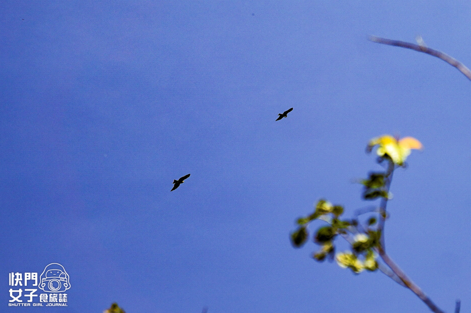 49平溪十分小百岳淡蘭古道五分山步道氣象台芒草季老街美食.jpg 49平溪十分小百岳淡蘭古道五分山步道氣象台芒草季老街美食.jpg