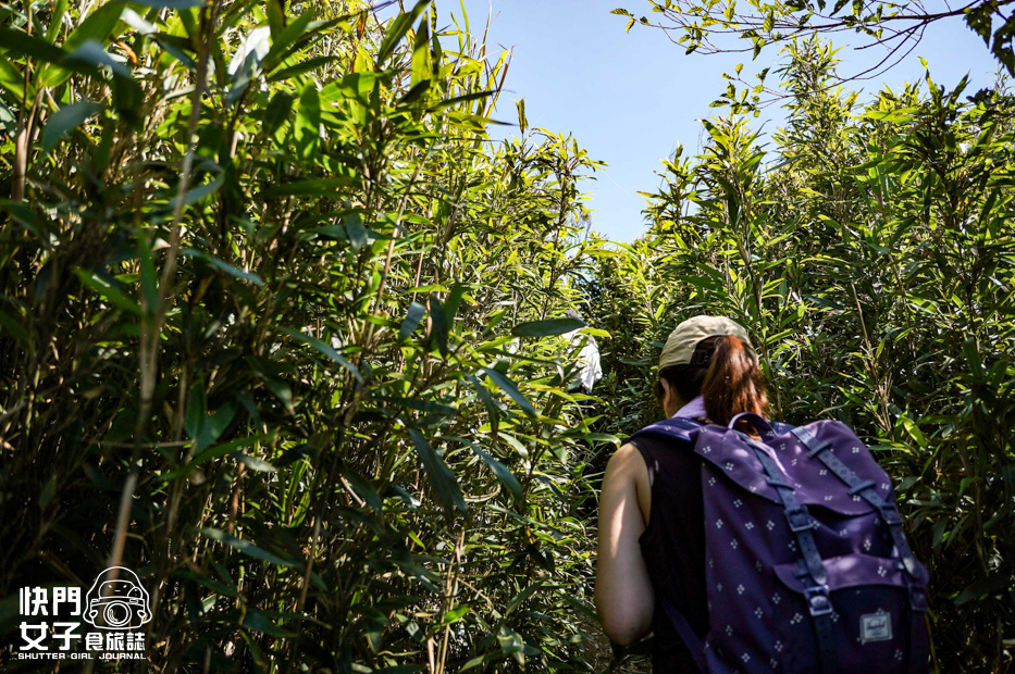 54平溪十分小百岳淡蘭古道五分山步道氣象台芒草季老街美食.jpg 54平溪十分小百岳淡蘭古道五分山步道氣象台芒草季老街美食.jpg