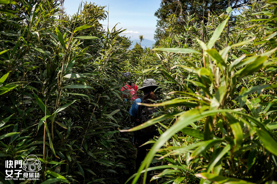 55平溪十分小百岳淡蘭古道五分山步道氣象台芒草季老街美食.jpg 55平溪十分小百岳淡蘭古道五分山步道氣象台芒草季老街美食.jpg