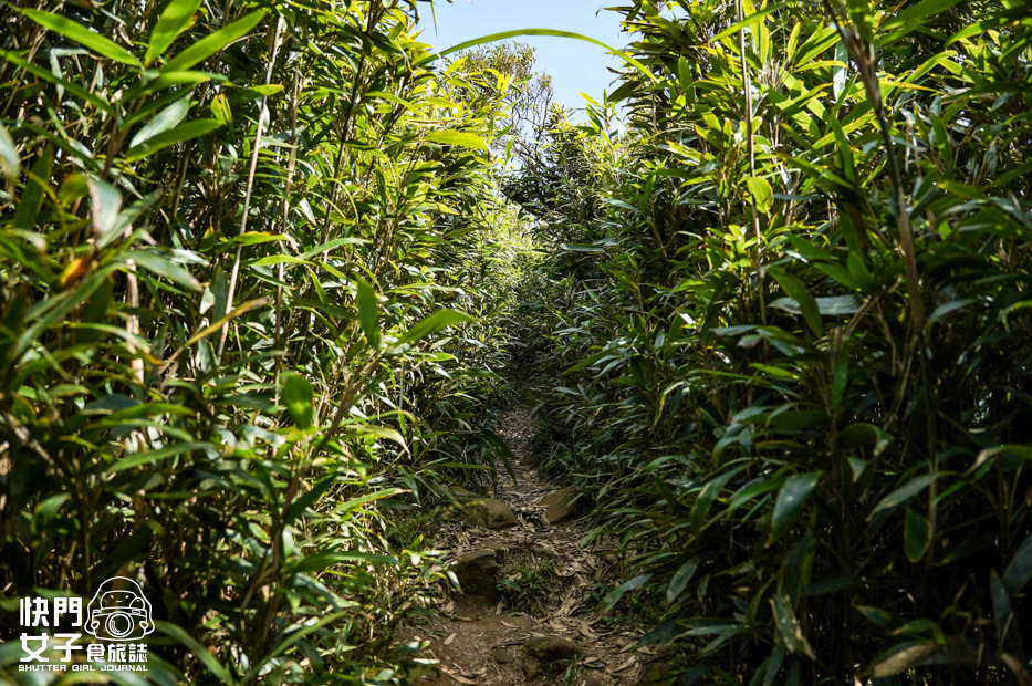 56平溪十分小百岳淡蘭古道五分山步道氣象台芒草季老街美食.jpg 56平溪十分小百岳淡蘭古道五分山步道氣象台芒草季老街美食.jpg