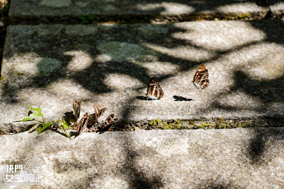 67平溪十分小百岳淡蘭古道五分山步道氣象台芒草季老街美食.jpg 67平溪十分小百岳淡蘭古道五分山步道氣象台芒草季老街美食.jpg