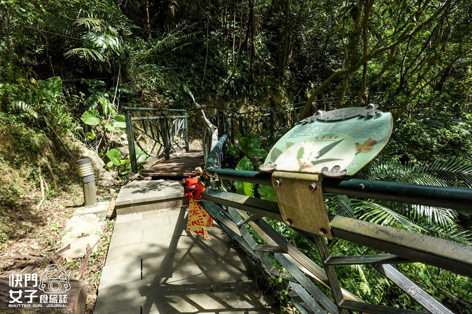 12新店老街碧潭山大笨山和美山登山步道.jpg 12新店老街碧潭山大笨山和美山登山步道.jpg