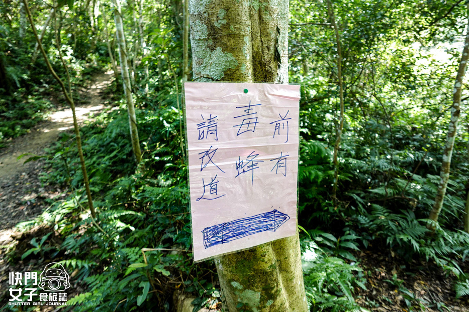26桃園大溪小百岳溪洲山石門山石牛山福山巖登山步道.jpg 26桃園大溪小百岳溪洲山石門山石牛山福山巖登山步道.jpg