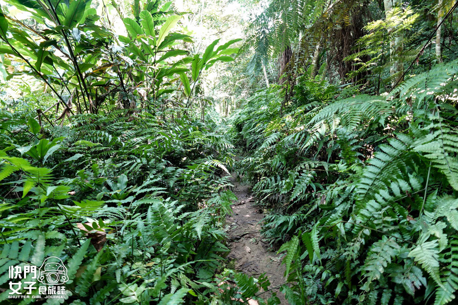 28桃園大溪小百岳溪洲山石門山石牛山福山巖登山步道.jpg 28桃園大溪小百岳溪洲山石門山石牛山福山巖登山步道.jpg