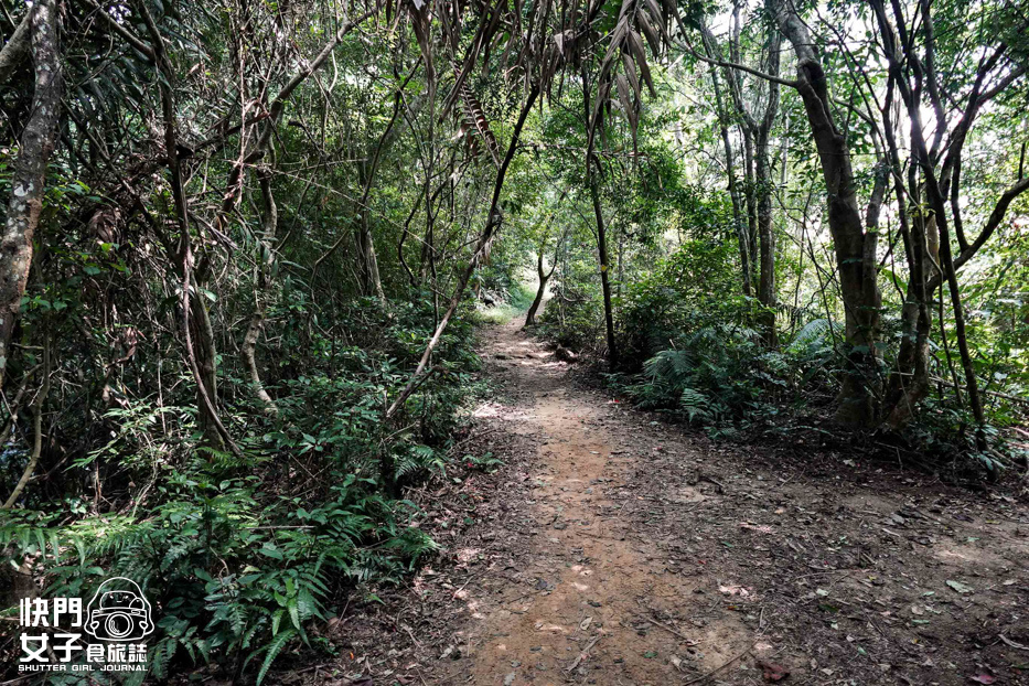 41桃園大溪小百岳溪洲山石門山石牛山福山巖登山步道.jpg 41桃園大溪小百岳溪洲山石門山石牛山福山巖登山步道.jpg