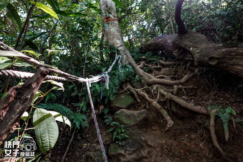 38桃園大溪小百岳溪洲山石門山石牛山福山巖登山步道.jpg 38桃園大溪小百岳溪洲山石門山石牛山福山巖登山步道.jpg
