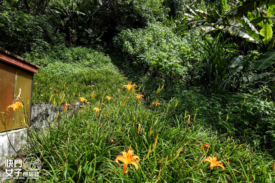 56桃園大溪小百岳溪洲山石門山石牛山福山巖登山步道.jpg 56桃園大溪小百岳溪洲山石門山石牛山福山巖登山步道.jpg