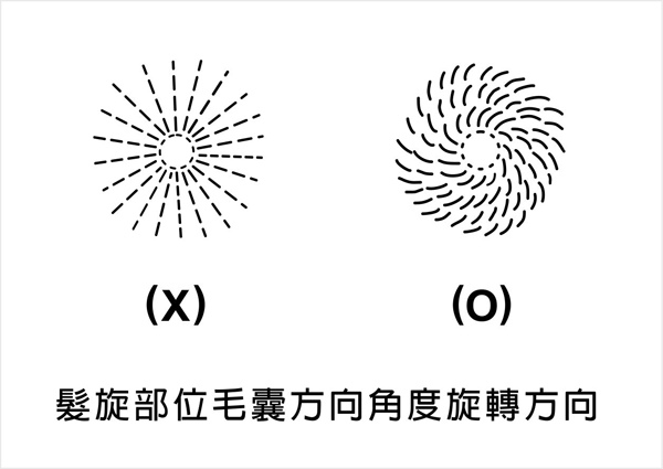 髮旋角度-1.jpg