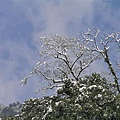 2005雪山 033.jpg