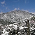 2005雪山 035.jpg