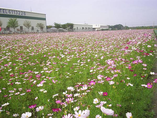 請輸入圖片標題