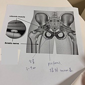 2025 4 7 台大生醫復健 2 2025 4 7 台大生醫復健 2