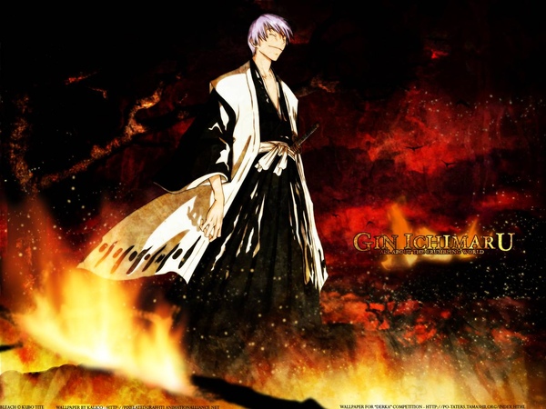 bleach-wallpaper-2956.jpg