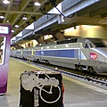 08_montparnass_TGV.jpg