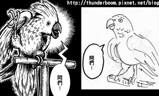 鸚鵡.jpg 鸚鵡.jpg