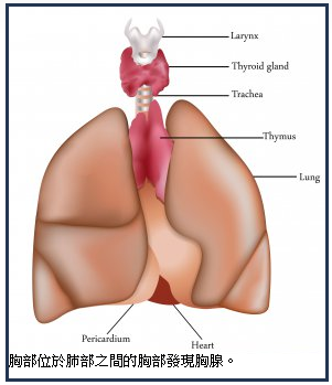 WeChat 圖片_20170930095542.png WeChat 圖片_20170930095542.png