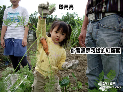 這一生拔的第一個紅蘿蔔