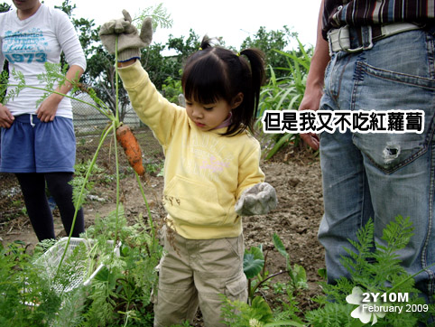 好不容易拔起來了