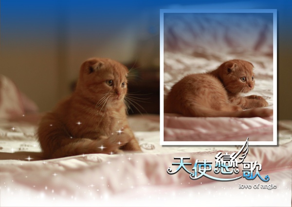 20100814 20100814