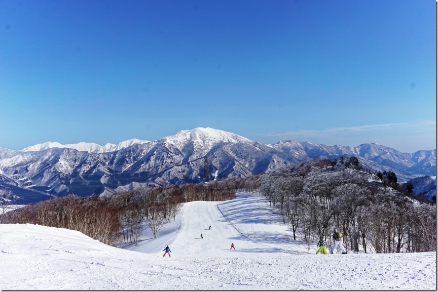 DSC07973_DxO DSC07973_DxO