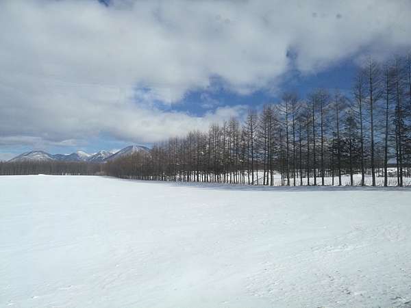 17 北海道道東網走 黃粱夢 痞客邦 17 北海道道東網走 黃粱夢 痞客邦
