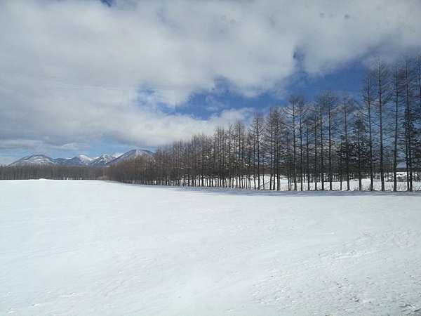 17 北海道道東網走 黃粱夢 痞客邦