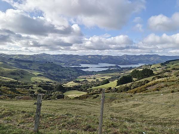 2023.08 紐西蘭 Akaroa 基督城  奧克蘭