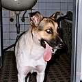 20020924-04.jpg