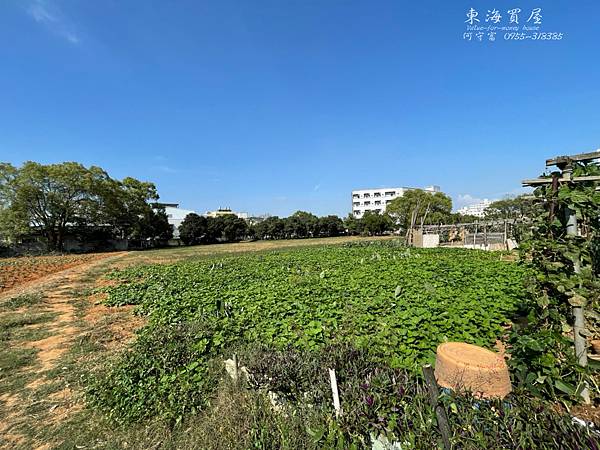 龍井區-正東海商圈增值農地950坪14250萬_210508_3.jpg