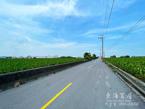 S__50806920.jpg S__50806920.jpg