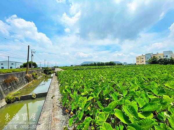 S__50806928.jpg S__50806928.jpg