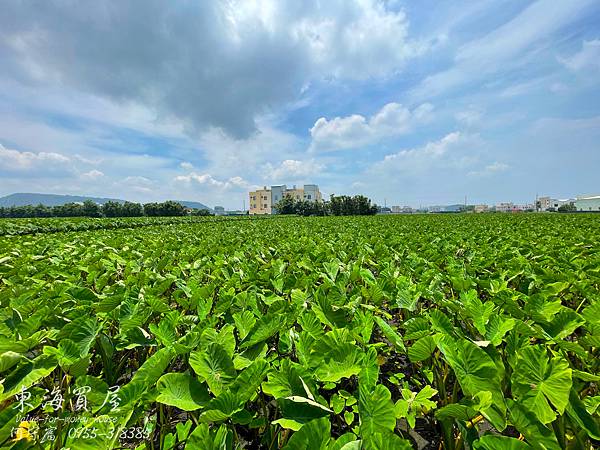 S__50806929.jpg S__50806929.jpg