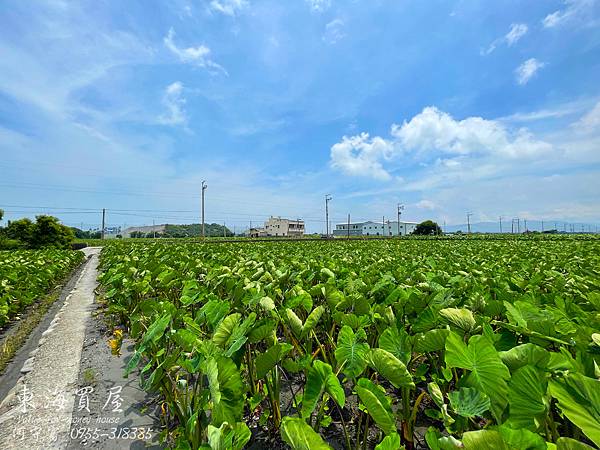 S__50806930.jpg S__50806930.jpg