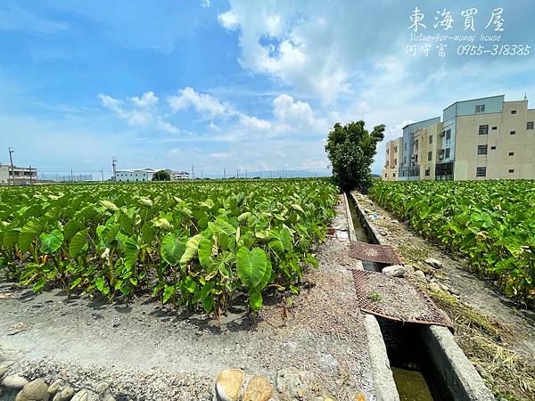 S__50806935.jpg S__50806935.jpg