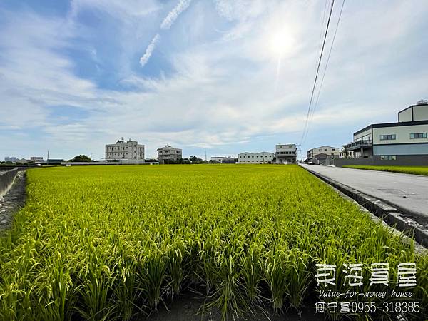 東海買屋~清水區-高美路漂亮稻子田546坪2158萬