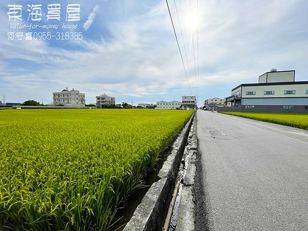 東海買屋~清水區-高美路漂亮稻子田546坪2158萬