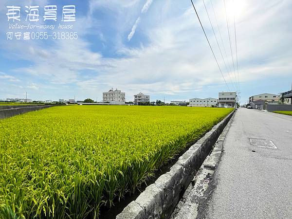 東海買屋~清水區-高美路漂亮稻子田546坪2158萬