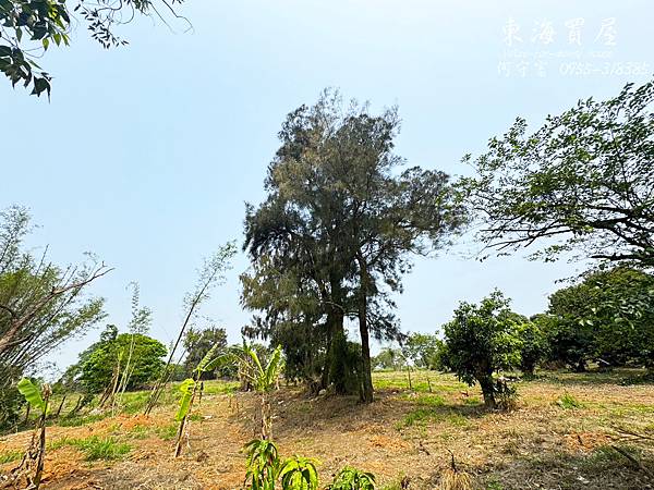 東海買屋~清水區-台中航空城產專農地5597萬