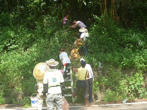 自然農法01：勇士們架梯冒著生命的危險上山採原始腐質土.jpg