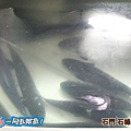 石門石峰活魚餐廳20131215-141.jpg