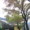 石門水庫20131215-372.jpg