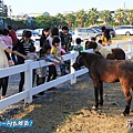 高雄淨園農場20140101E-018.jpg