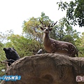 高雄壽山動物園20140102J-019.jpg