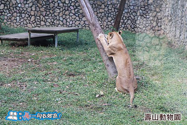 高雄壽山動物園20140102J-061.jpg