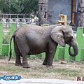 高雄壽山動物園20140102J-098.jpg