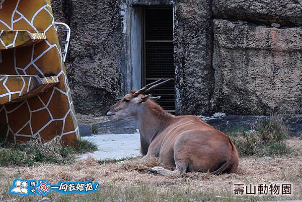 高雄壽山動物園20140102J-101.jpg