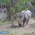 高雄壽山動物園20140102J-105.jpg